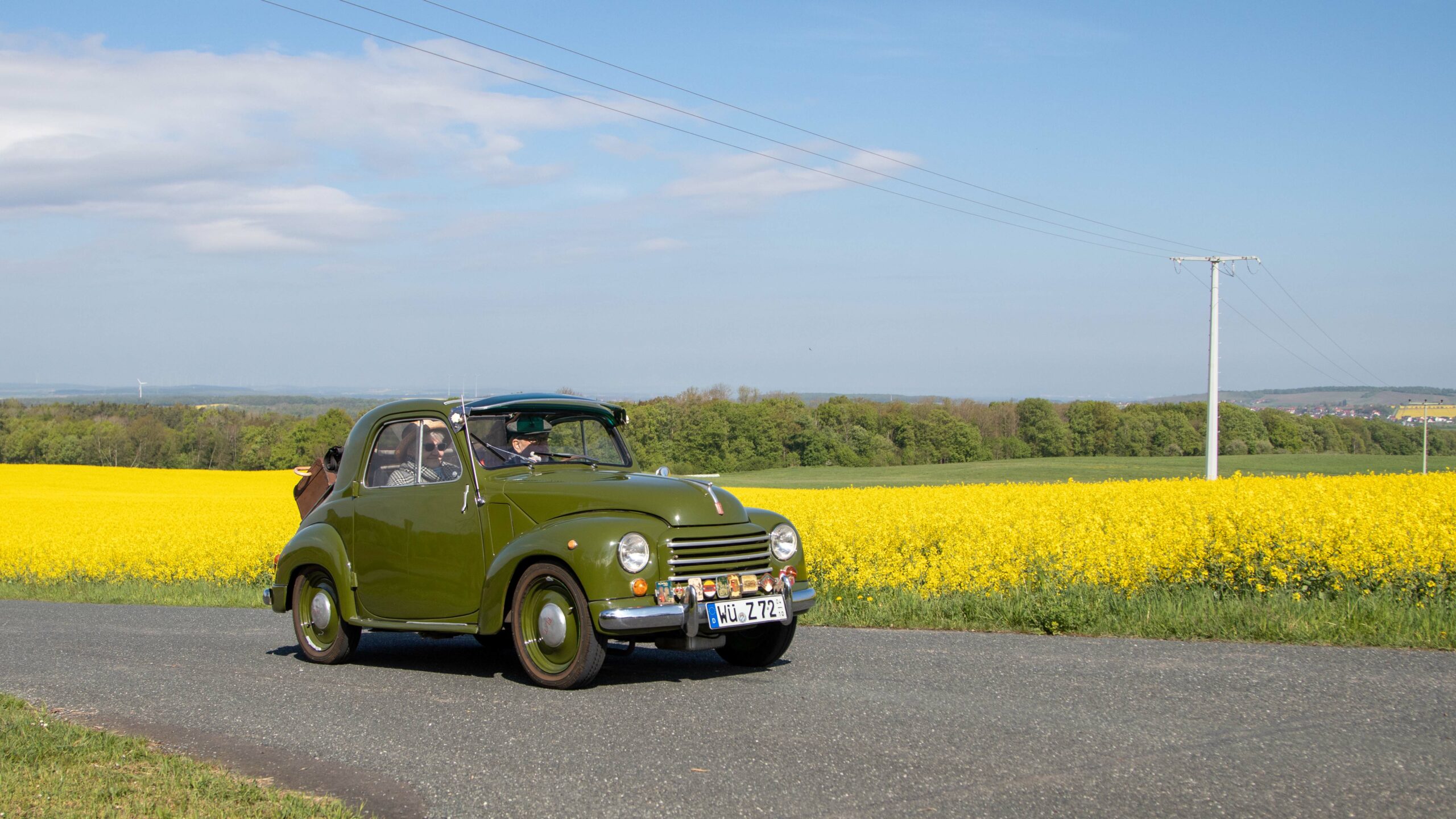 2 Rapsfeld (64)