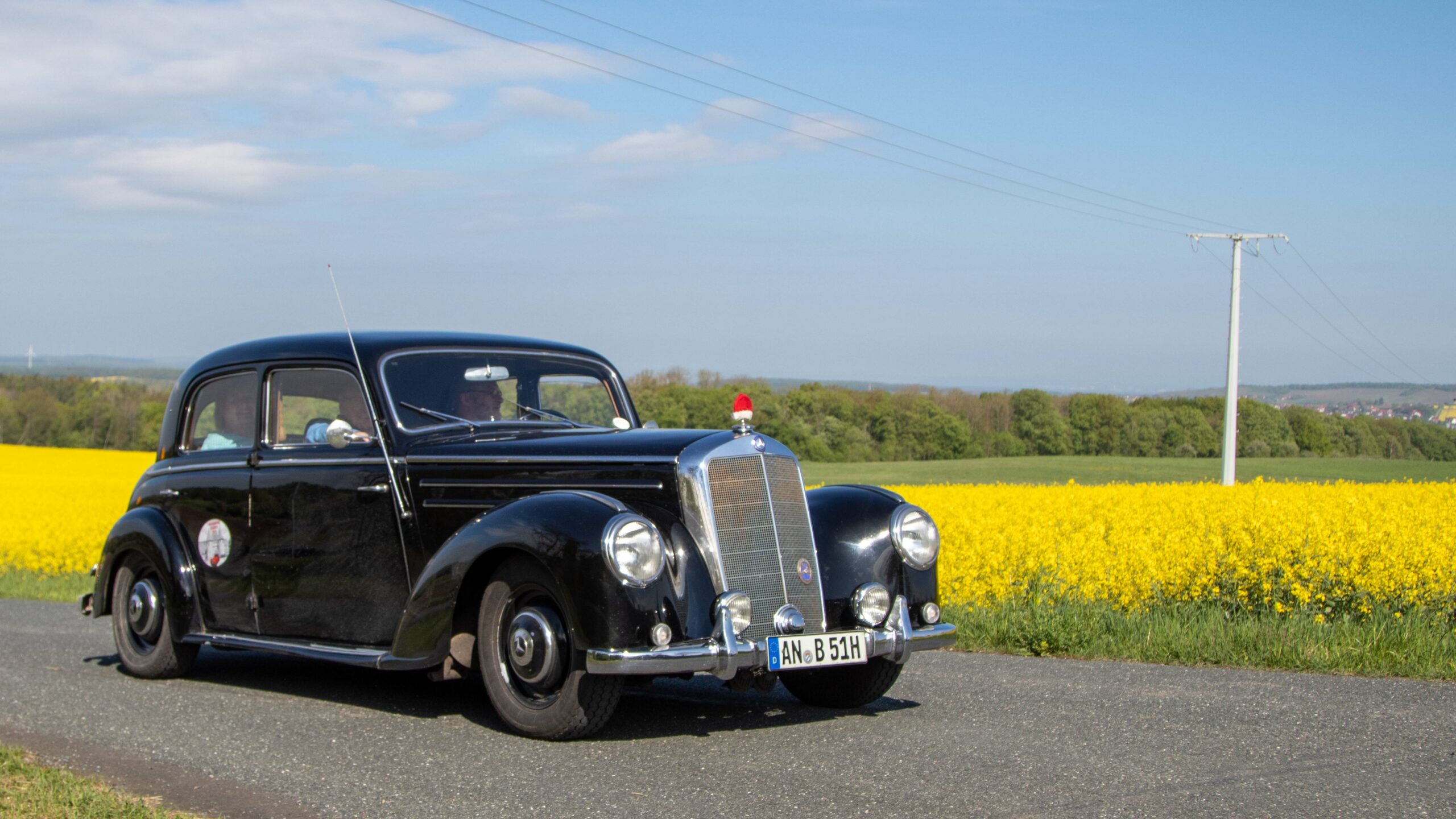 2 Rapsfeld (80)