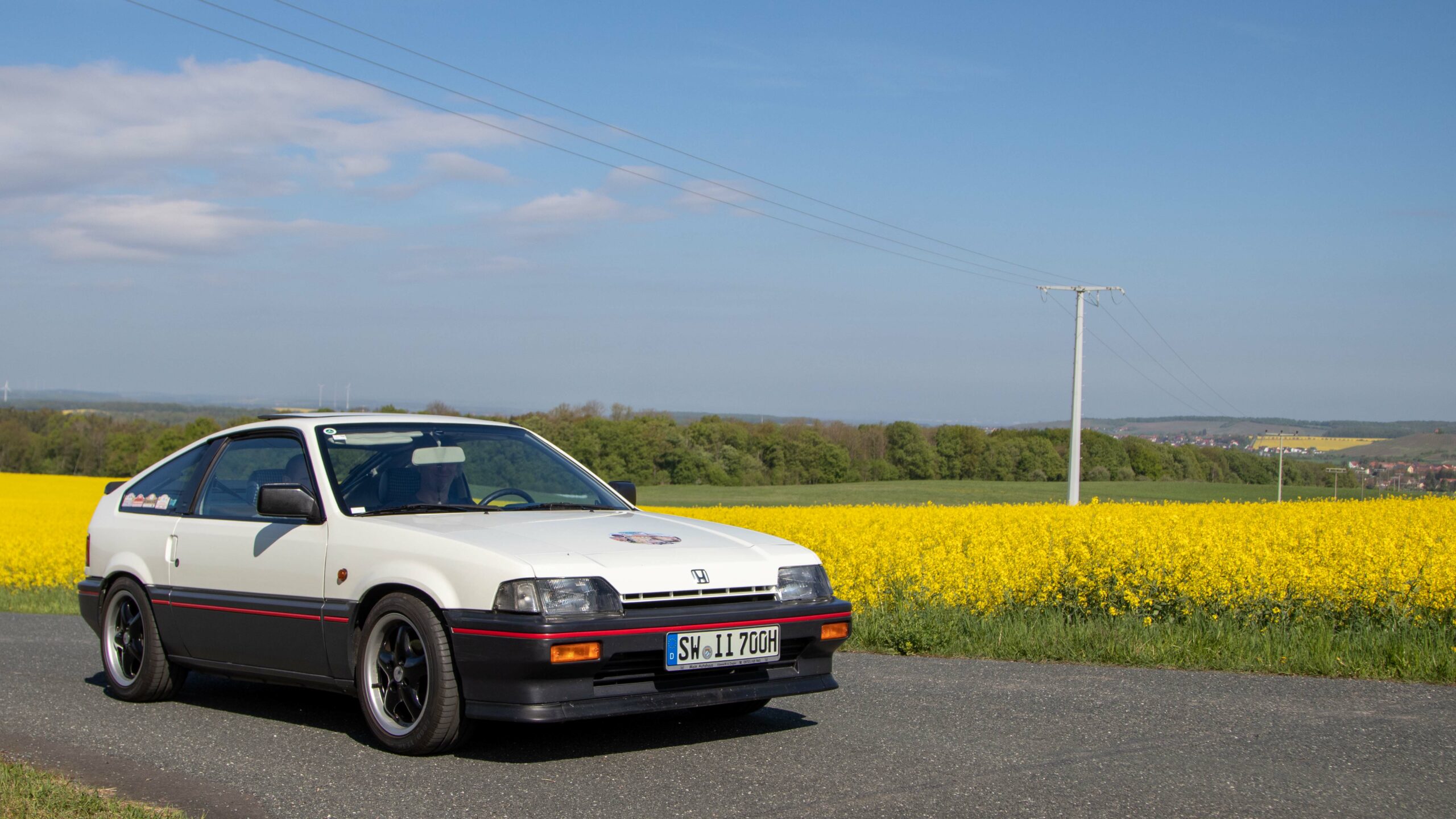 2 Rapsfeld (84)