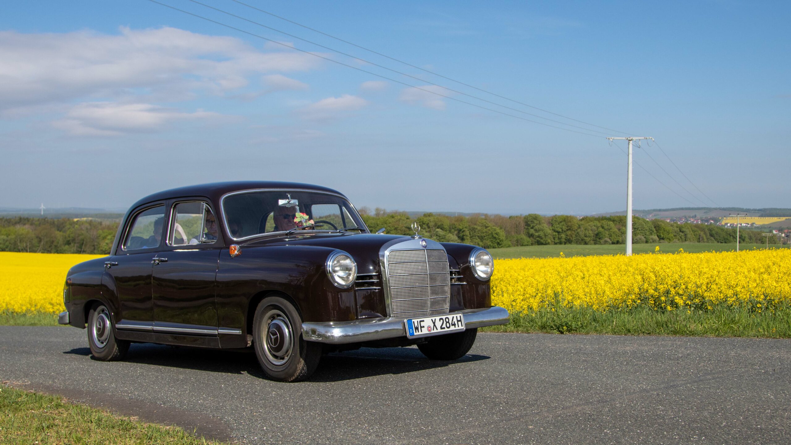2 Rapsfeld (94)