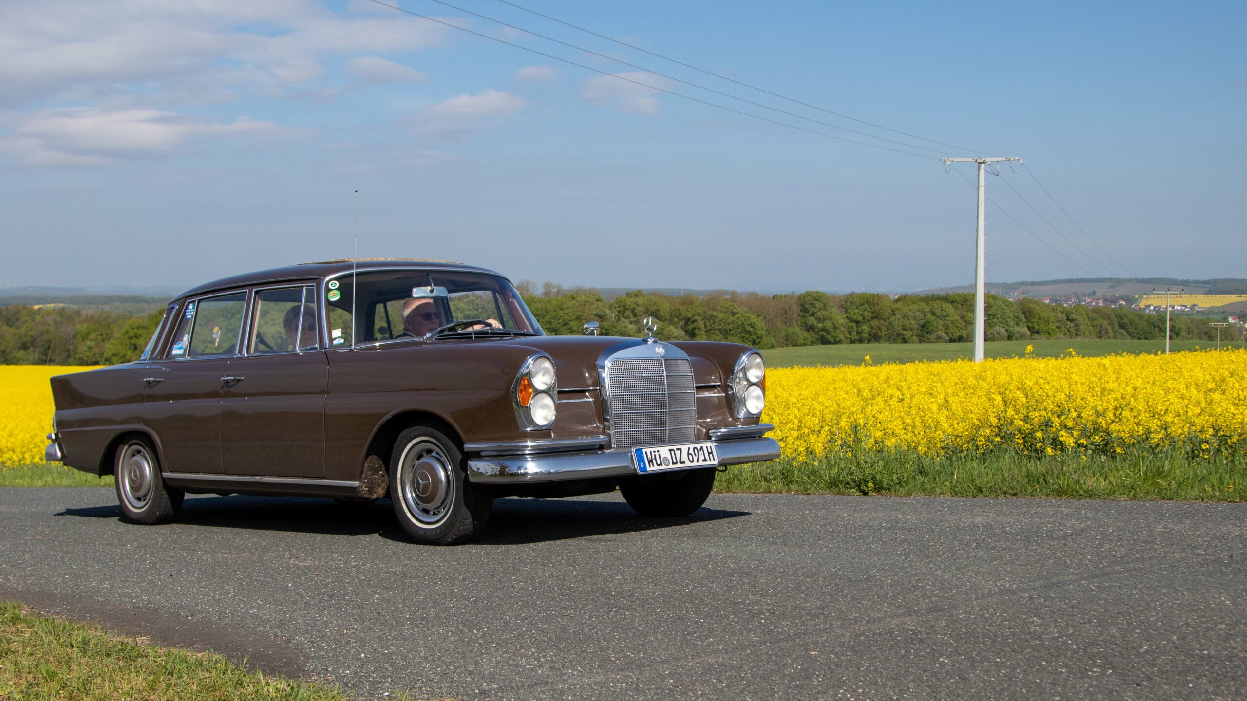 2 Rapsfeld (96)
